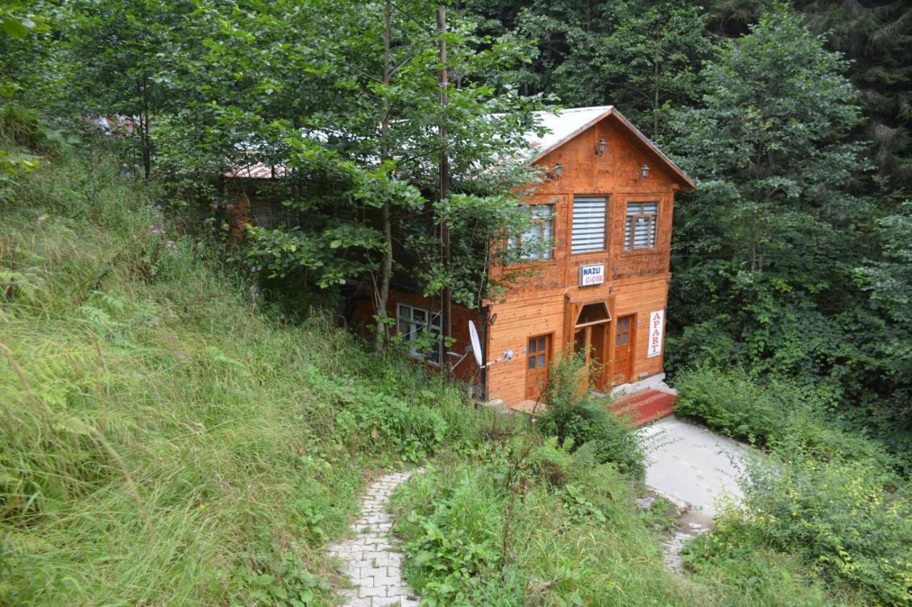 Ayder Nazli Cicek Apart Ngoại thất bức ảnh