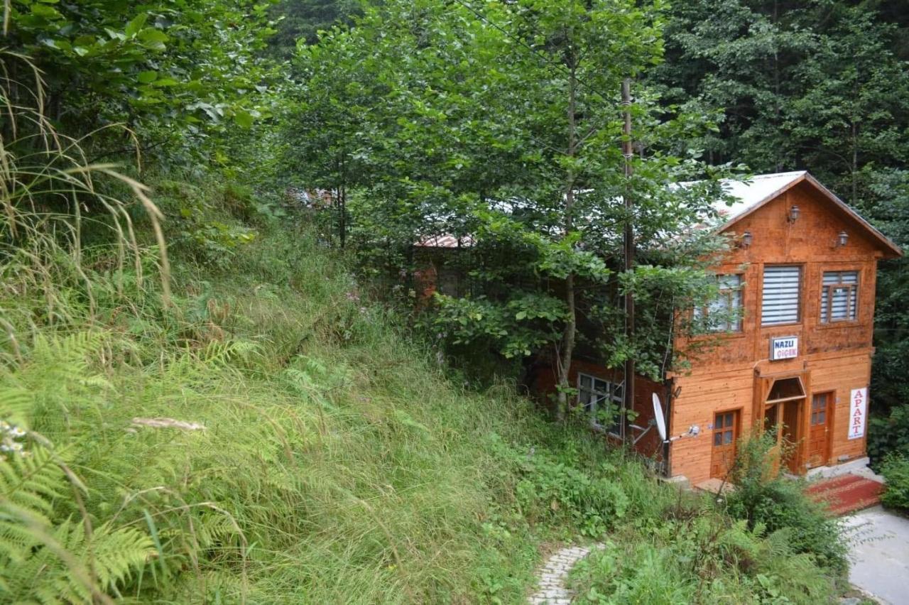 Ayder Nazli Cicek Apart Ngoại thất bức ảnh